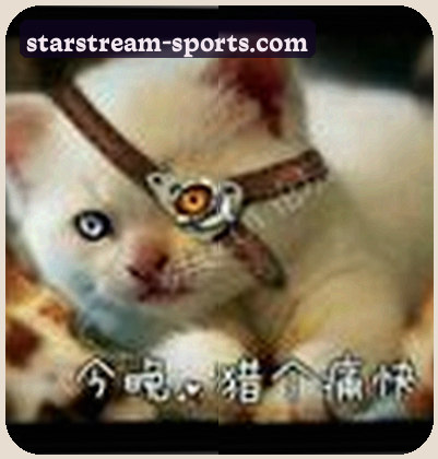 刘经理